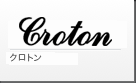 croton