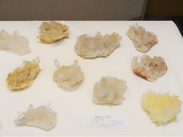 DSC06132_コピー_コピー